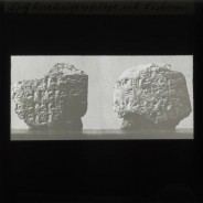 Böhl glass slide 61.3/1860b